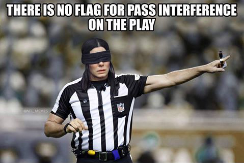 bird box refs
